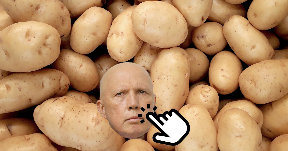 Peter Dutton Mad Potato